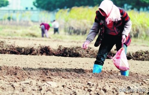 中国海外生活视频，中国海外生活视频大全