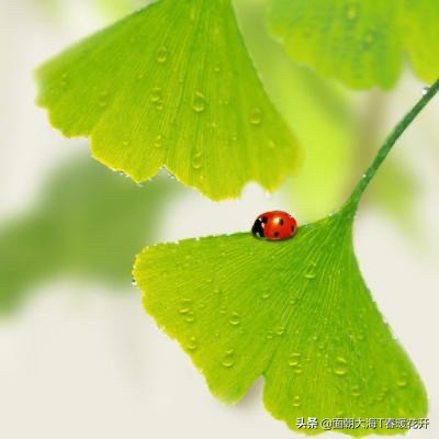 小日常（小日常什么意思？）