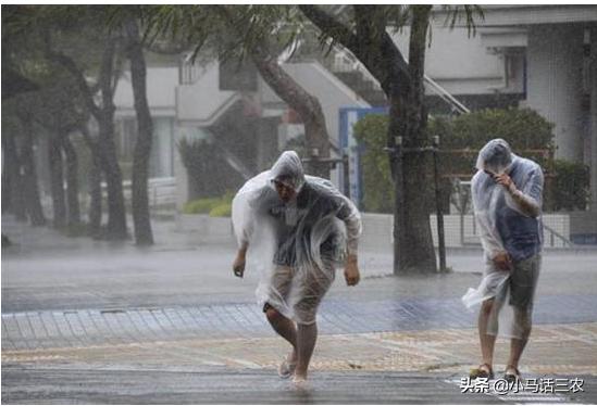 暴雨大暴雨台风来了（2号台风生成预计登陆广东，河南，安徽，江苏等地大暴雨，特大暴雨何时来？）