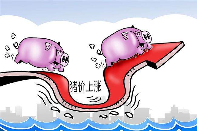 最新外贸进出口关税调整细则
最新外贸进出口关税调整细则