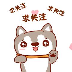 清华经管学院毕业生就业去向？