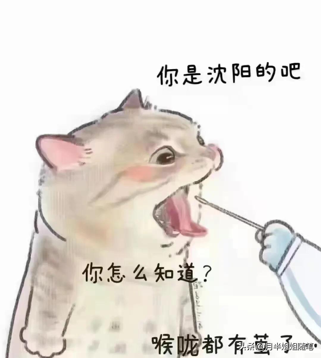 考取沈阳市社区怎么考