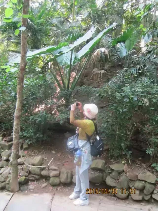 开车去旅游，在高速上正在走，遇到一只鸽子拦路，是什么意思？：旅行被困高速18小时
