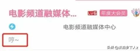 [6公主]cctv6六公主介绍？