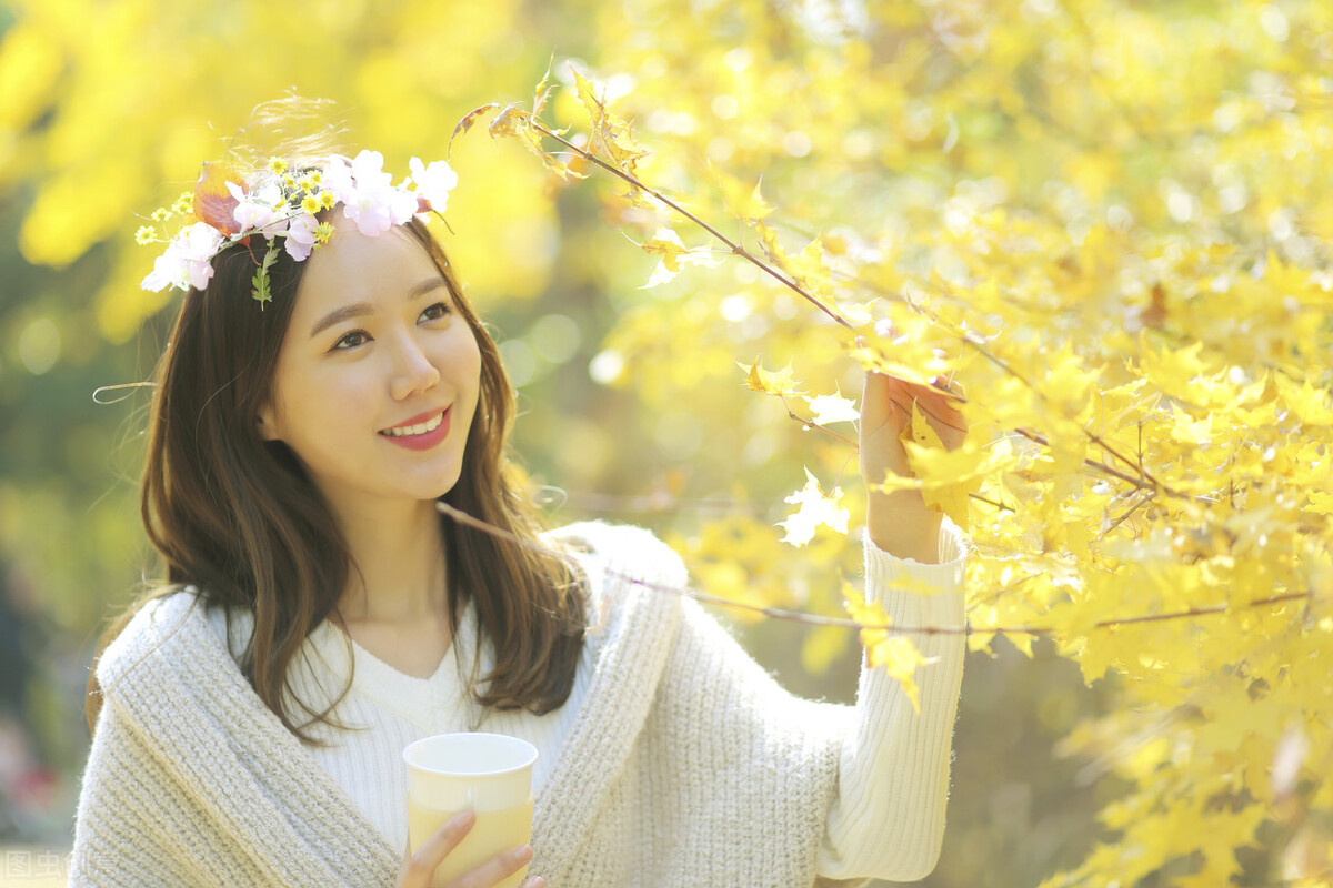 [停更]停更说明什么内容？