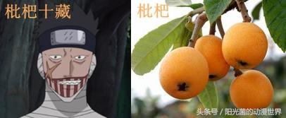 火影忍者水果大战（火影忍者忍刀七人众就是水果篮鬼灯竟是代表姑娘果）