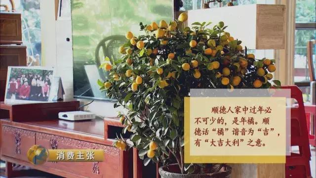 六耳红沃鱼胶图片与功效 2026年六耳赤嘴鱼胶功效