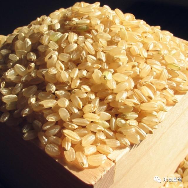 花胶怎么防虫 2026年花胶防虫能放花椒八角吗