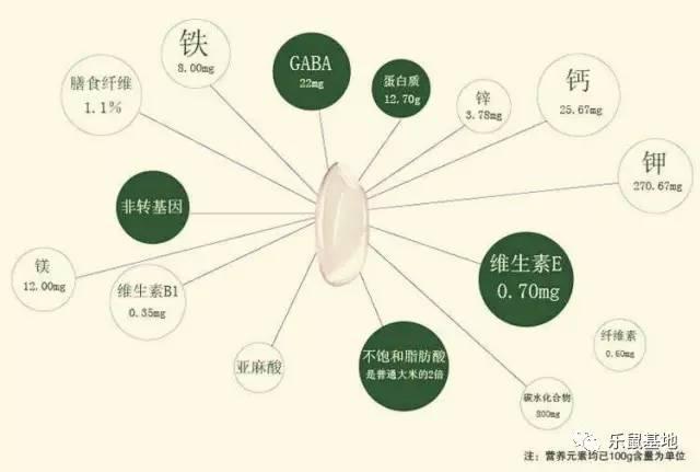 花胶怎么防虫 2026年花胶防虫能放花椒八角吗