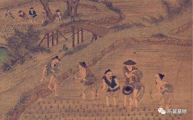 花胶怎么防虫 2026年花胶防虫能放花椒八角吗