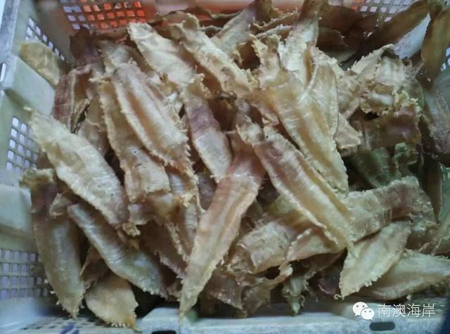 阳江花胶楼真假 2026年阳江白花胶