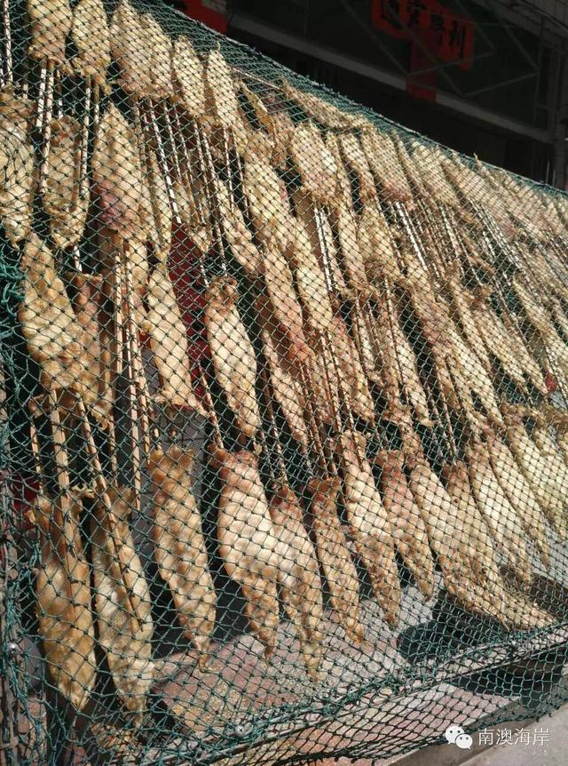 阳江花胶楼真假 2026年阳江白花胶 阳江花胶楼真假 2026年阳江白花胶