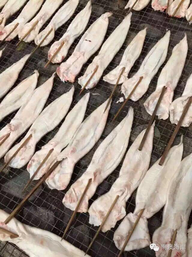 阳江花胶楼真假 2026年阳江白花胶 阳江花胶楼真假 2026年阳江白花胶