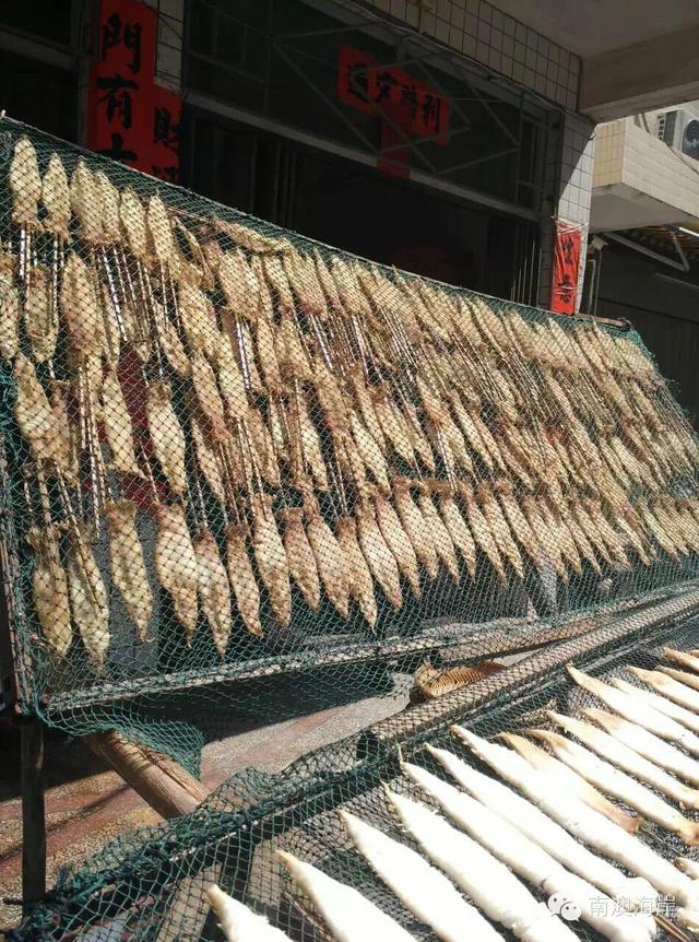 阳江花胶楼真假 2026年阳江白花胶