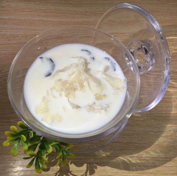 海椰皇炖花胶的功效与作用 2026年海椰皇炖花胶的功效与作用是什么