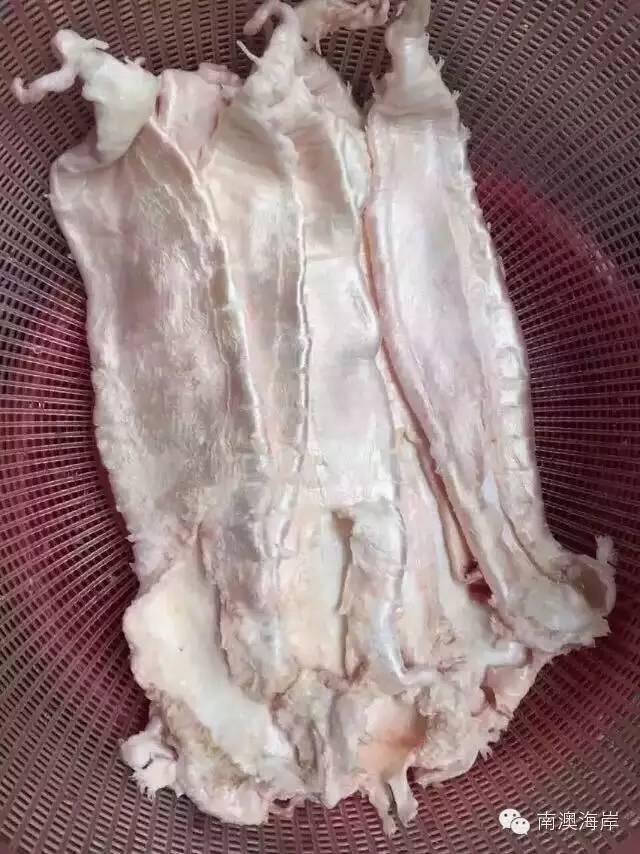 阳江花胶楼真假 2026年阳江白花胶 阳江花胶楼真假 2026年阳江白花胶