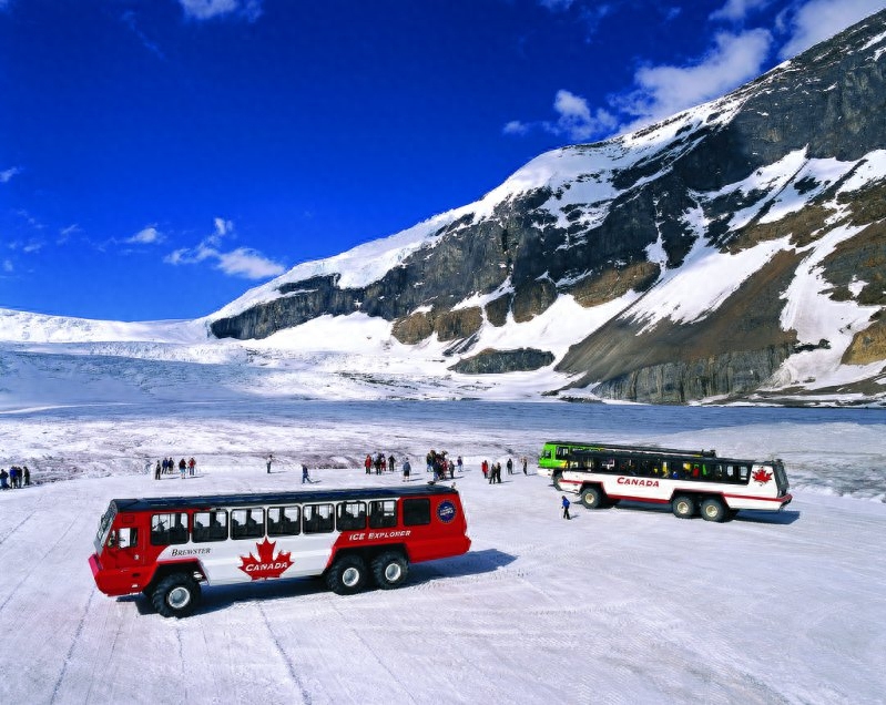 野外作业专用,曾经被称为“陆地大脚怪”的汽车你都见过吗