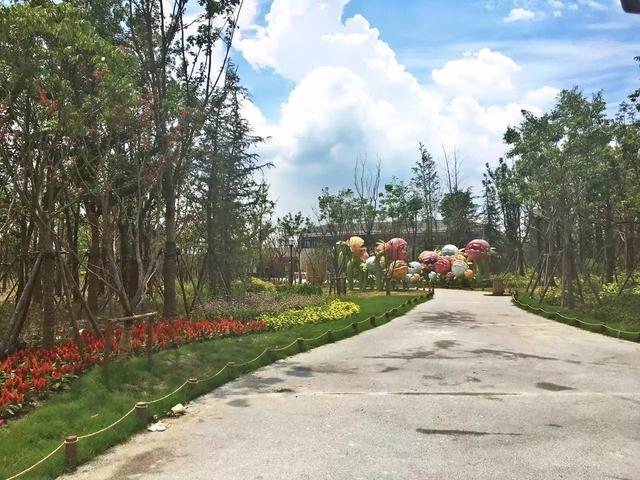 「探索」浦江郊野公园7月底试运营，小布带你先睹为快！