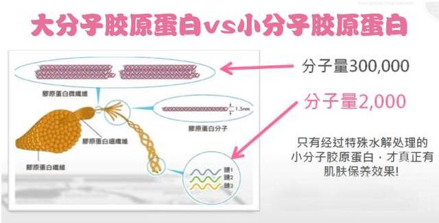 补充胶原蛋白最好的方法 2026年补充胶原蛋白最好的方法大全