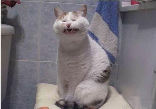 奥特曼也得坐地铁呀