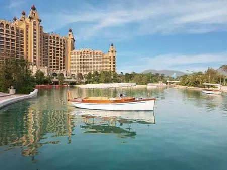 胡椒能炖花胶用吗 2026年胡椒能炖花胶用吗有毒吗 胡椒能炖花胶用吗 2026年胡椒能炖花胶用吗有毒吗