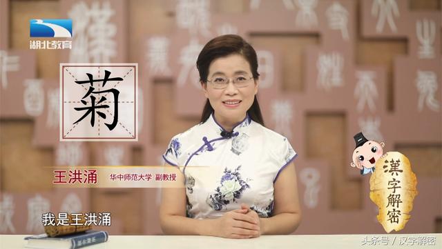 菊的拼音.（汉字解密｜菊菊字最初并不是指菊花）