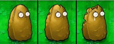 好吃不过坚果君，but，正确打开方式你知道不？