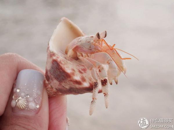 梦幻大溪地蜜月之Bora Bora篇（海量美图）