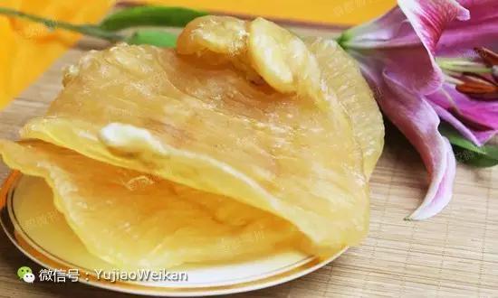 男性吃花胶好还是海参好 2025年男性吃花胶好还是海参好一点