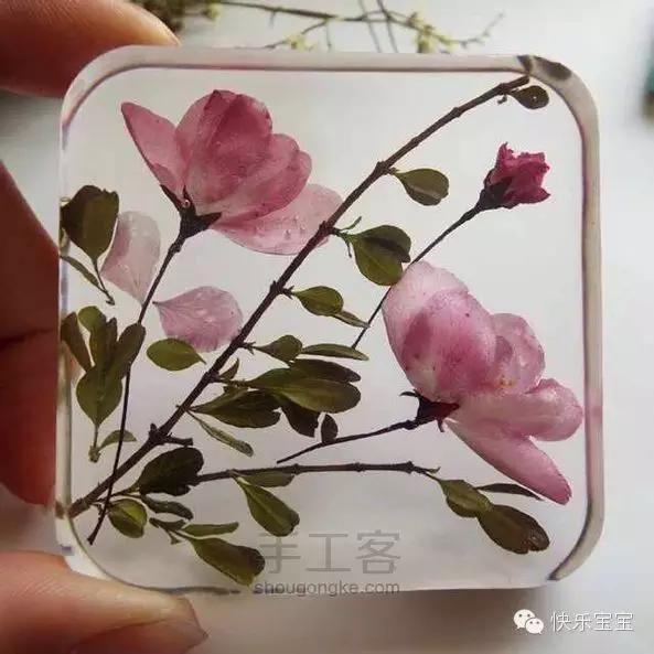 水晶滴胶花 2026年水晶滴胶花diy教程