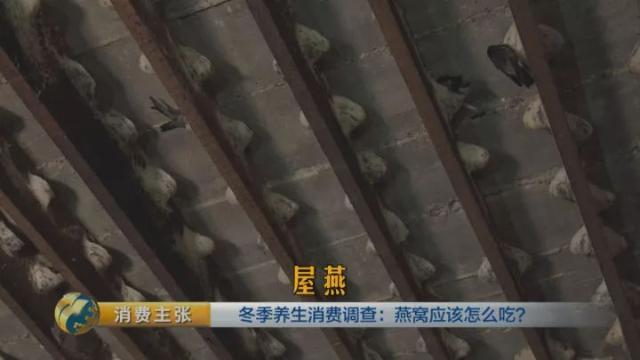 燕窝品种级别 2026年燕窝品种级别排名