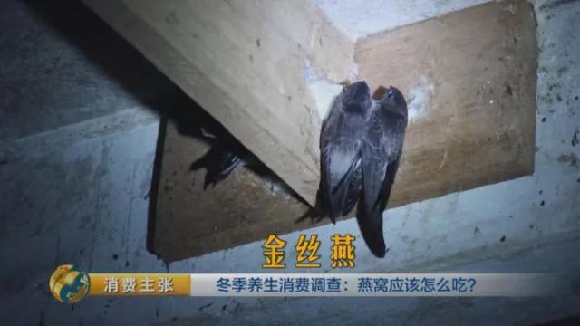 燕窝怎么分好和次呢 2026年燕窝如何分好坏