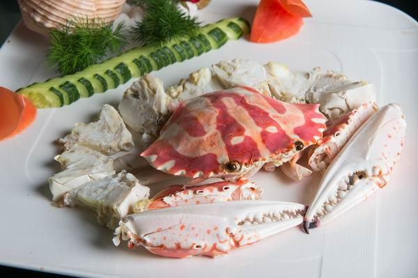 鲍汁花胶海参煲 2026年花胶海参鲍鱼煲汤的做法大全