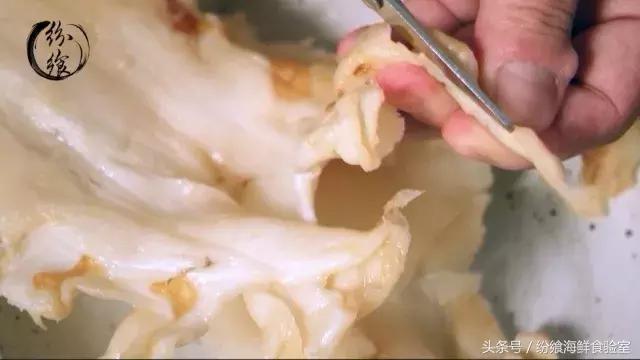 鳕鱼胶泡发后的图片 2026年鳕鱼胶泡发好的样子 鳕鱼胶泡发后的图片 2026年鳕鱼胶泡发好的样子