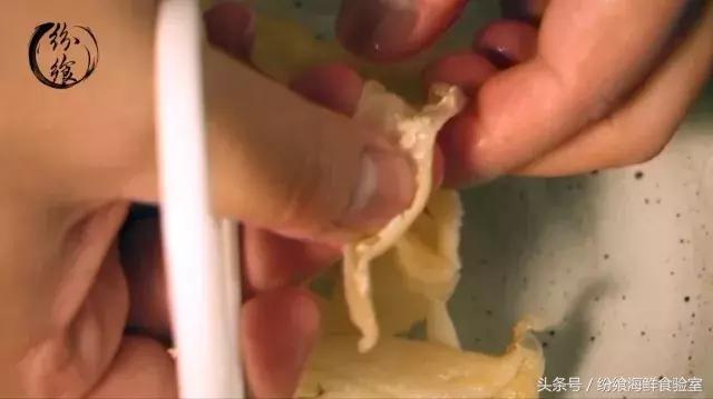鳕鱼胶泡发后的图片 2026年鳕鱼胶泡发好的样子 鳕鱼胶泡发后的图片 2026年鳕鱼胶泡发好的样子