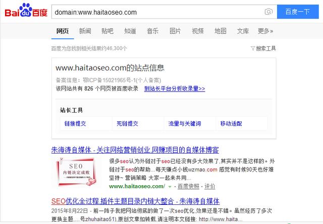 seodomain（你所不知道的seo专业名词解释）