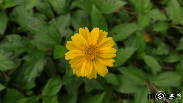 我心中的”魅族PRO 5mini“——魅族PRO 6深度体验