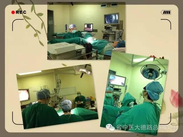 花胶鸡人参鹿茸 2026年人参鹿茸炖花胶的功效