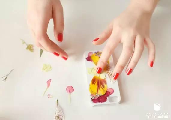 干花滴胶手机壳花变色 2026年干花滴胶手机壳花变色怎么回事