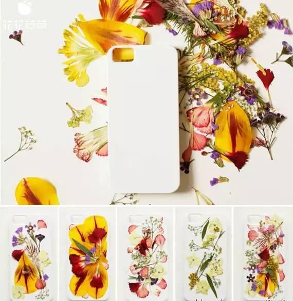 干花滴胶手机壳花变色 2026年干花滴胶手机壳花变色怎么回事