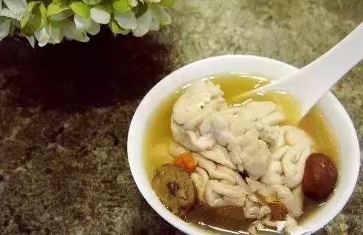 灵芝花胶瘦肉汤的做法与功效 2026年灵芝花胶瘦肉汤的做法与功效窍门 灵芝花胶瘦肉汤的做法与功效 2026年灵芝花胶瘦肉汤的做法与功效窍门