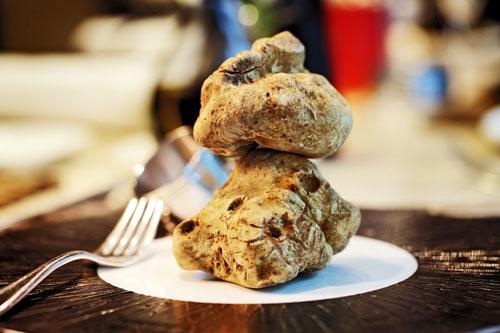 石斛和花胶一起炖吗 2026年石斛跟花胶可以一起煲汤吗