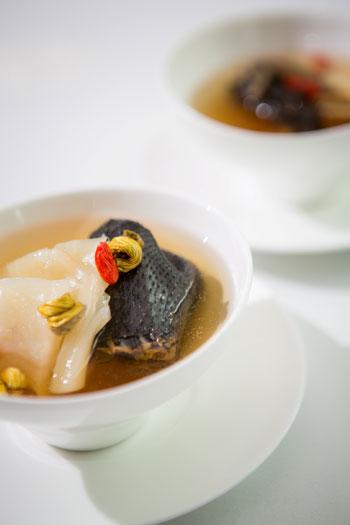 乌鸡炖花胶做法大全 2026年乌鸡炖花胶做法大全视频