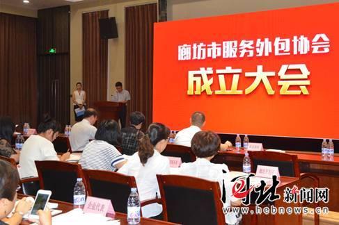 廊坊网站建设外包（廊坊市成立服务外包协会）