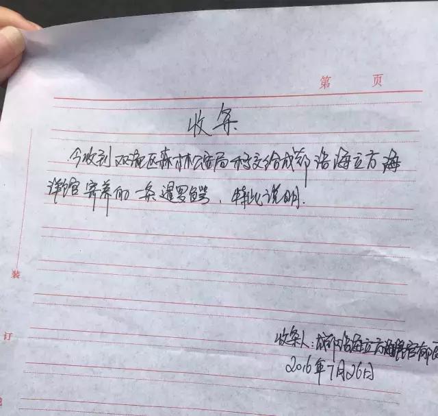 双流大妈“拯救鳄鱼”行动！