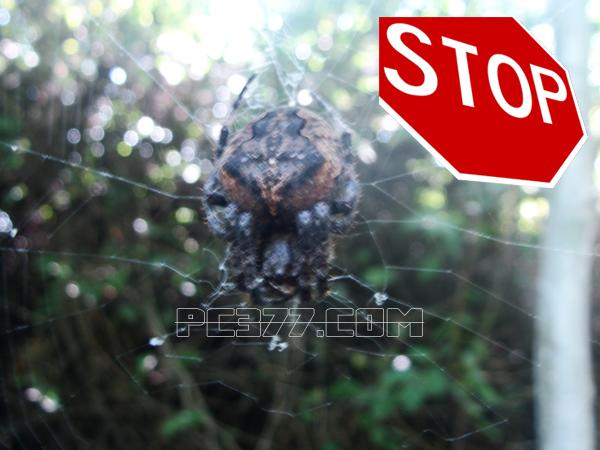 域名转让或弃用一定要注销备案，否则后患无穷