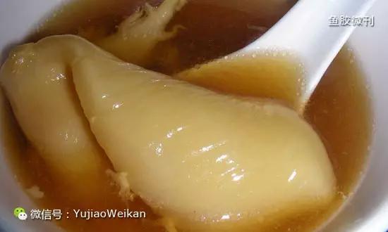 各种鱼胶的作用 2026年各种鱼胶的作用是什么 各种鱼胶的作用 2026年各种鱼胶的作用是什么