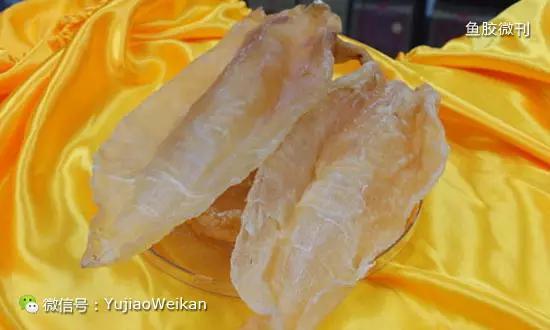 各种鱼胶的功效和作用 2026年各种鱼胶的功效和作用图片