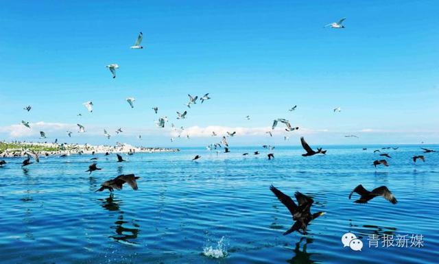 生态资产青海答卷：红红的太阳，蓝蓝的天，清清的青海湖一望无边！