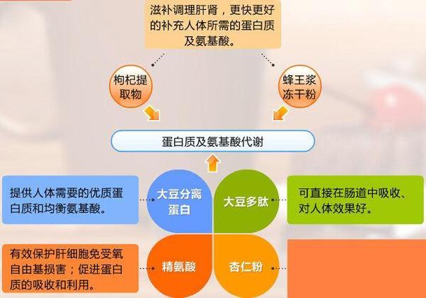 大豆低聚肽的作用功效 2026年大豆低聚肽的作用功效是什么